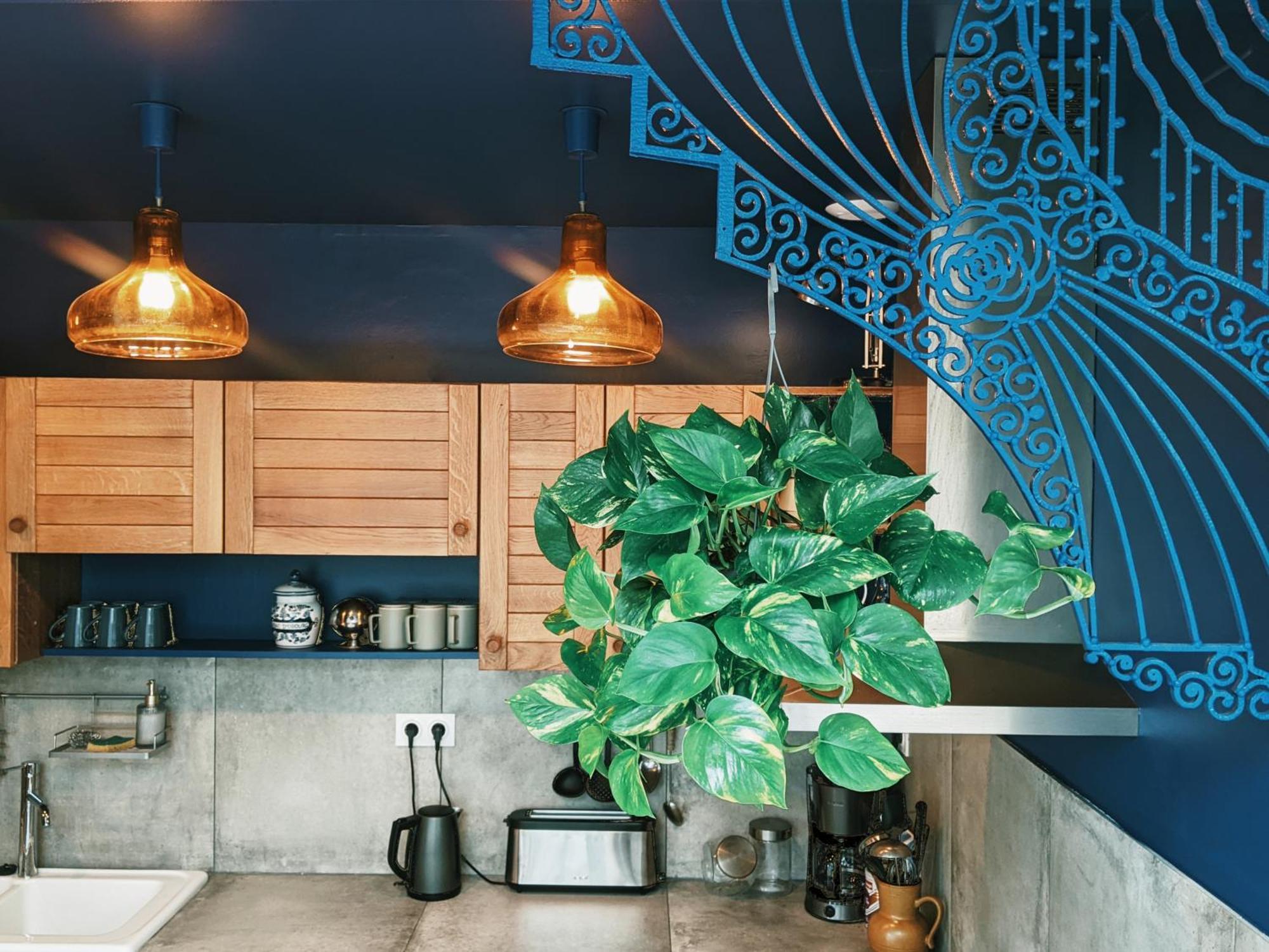 La Maison Du Cosquer Camaret-sur-Mer Ngoại thất bức ảnh