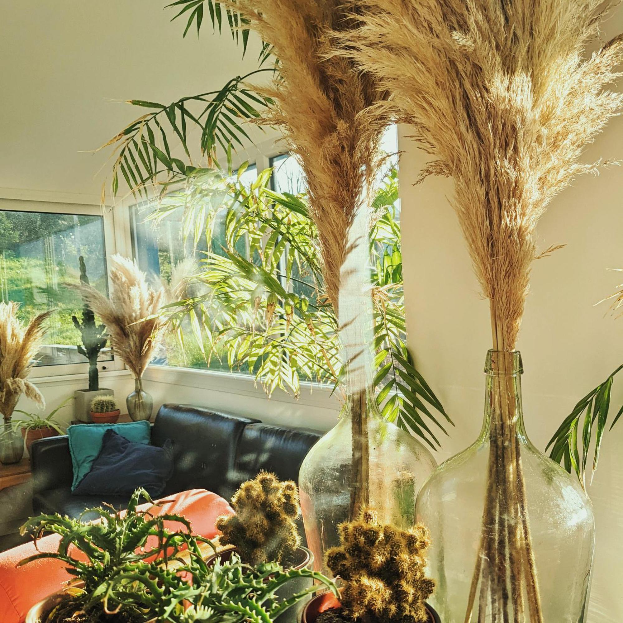 La Maison Du Cosquer Camaret-sur-Mer Ngoại thất bức ảnh